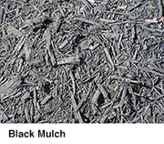 Black Mulch